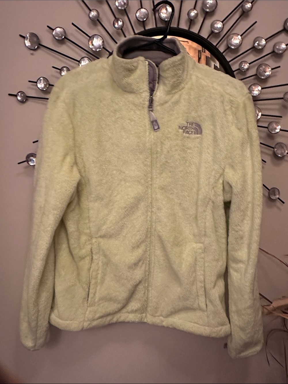 The North Face Women's Sage Green Teddy Fleece Jacket
